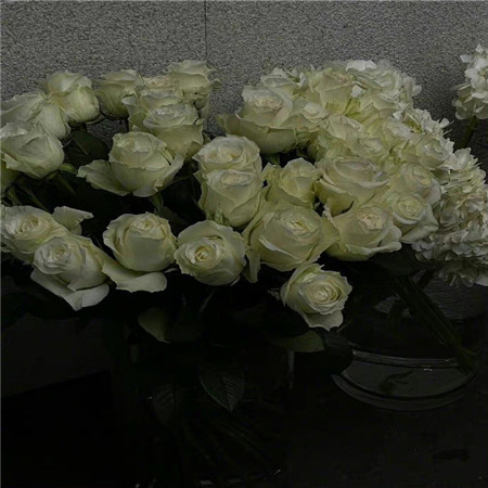 ɳ���İ��˸���������(��ѡ100��)