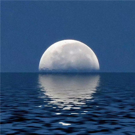 �������������˸�(��ѡ100��)