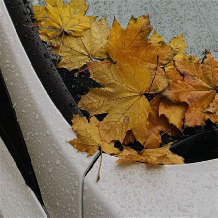 �����˸���������(��ѡ100��)