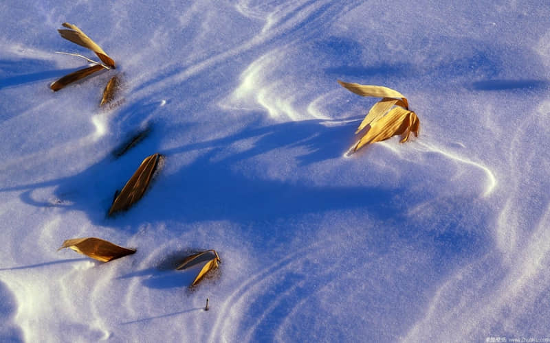 ��ʧ��������˵�������˿���ס���ֻ���������