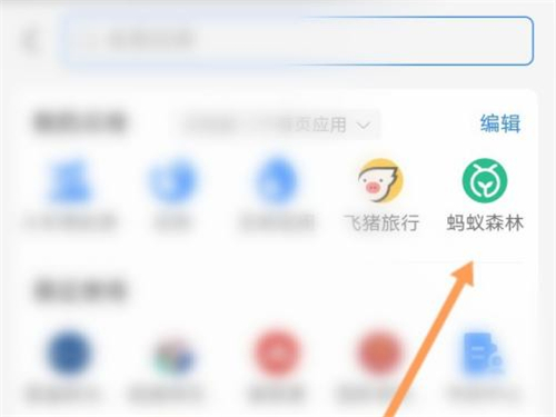 ����ɭ����η�ֹ����͵����?����ɭ�ַ�ֹ����͵��������