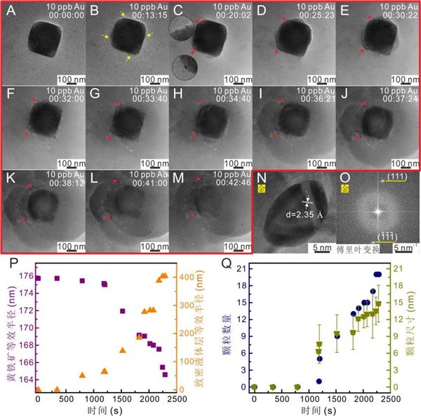 �״Σ��й���ѧ�������׳߶���ֱ���ƽ�������  �ƽ������