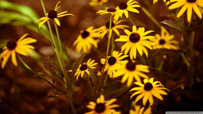 ��11��20���꣬�������մ�󷽷�������Ȧ��