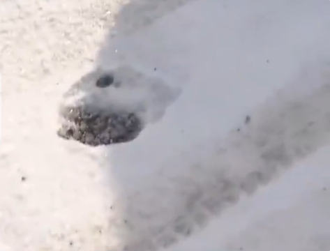 �ձ����ܲ����ߣ��������в����ܳ�û