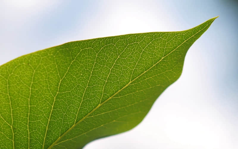 ������һ�������Լ�