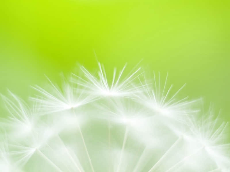 "ר���������������˴�Ц������"