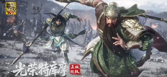 ��������˫���¿ͷ���ϵ����