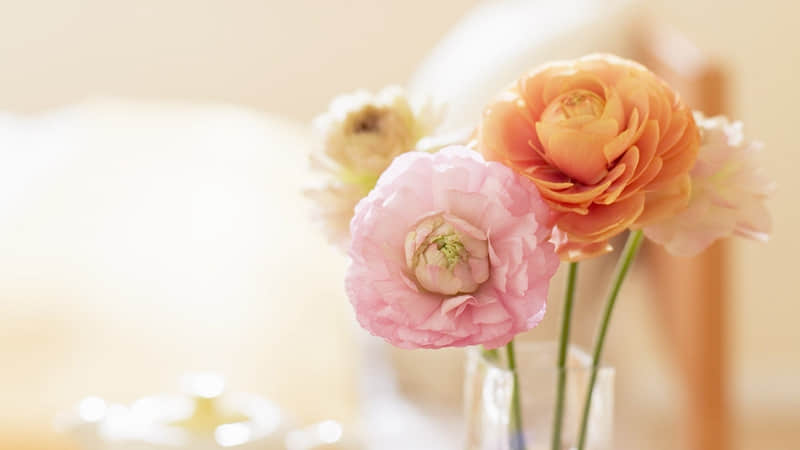 �����ţ�������Ҫ���㹣��