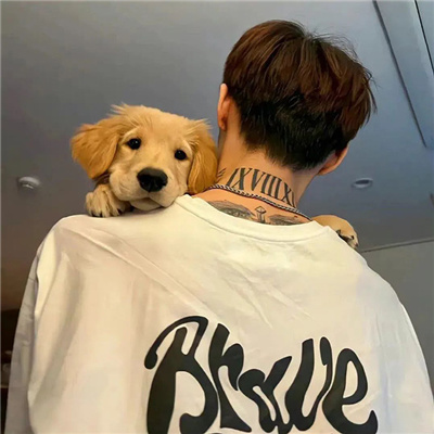 ������˧����������Ӣ��(��ѡ100��)