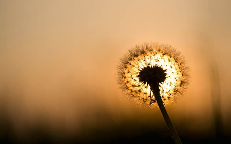 ��������������һ���ӵĸ߼��İ���