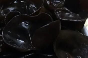 ��Ժ�ľ���ܽ�Ѫѹ��Ѫ֬�����