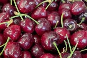 ���������������ĳ��������