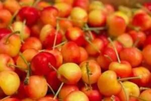 ���������۱���300��Ԫһ������ô����