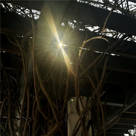 ��Ѹ����������ȫ��������(��ѡ100��)