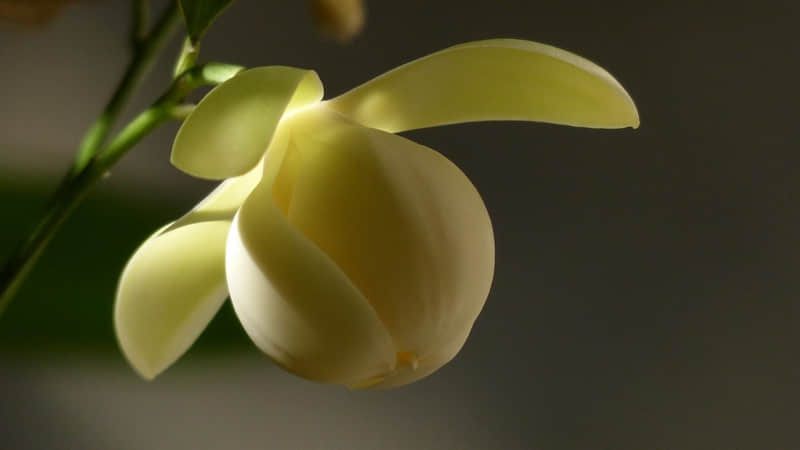 ��12��31�����죬�����ã�ĳ�˰����㡫��