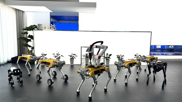 ����+����˫���� ��ʶ�Ƽ�×�����﷢�������޹�ҵ��������� �����ҵЭͬ�¾���