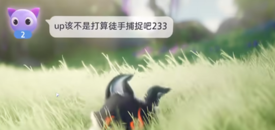 ��Ī���γ��ﲶ׽�淨���