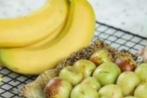 �㽶�Ӷ�����ʲô��