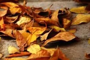 �����ۺ�����ʲô