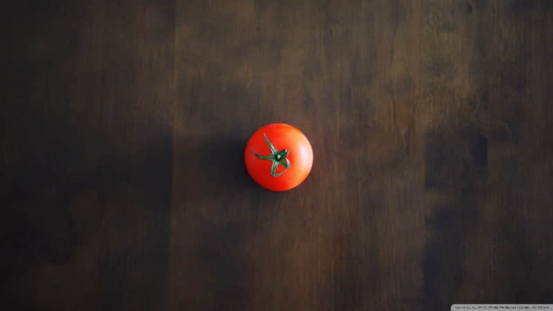 ��2026�յ�����������أ��������㡫��