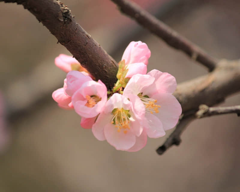 "��󷽷��տ���ҹת����ô˵��Цſ��"