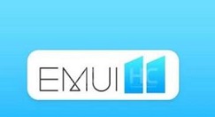 ��׿11��ô��è?��׿11������è�ķ���