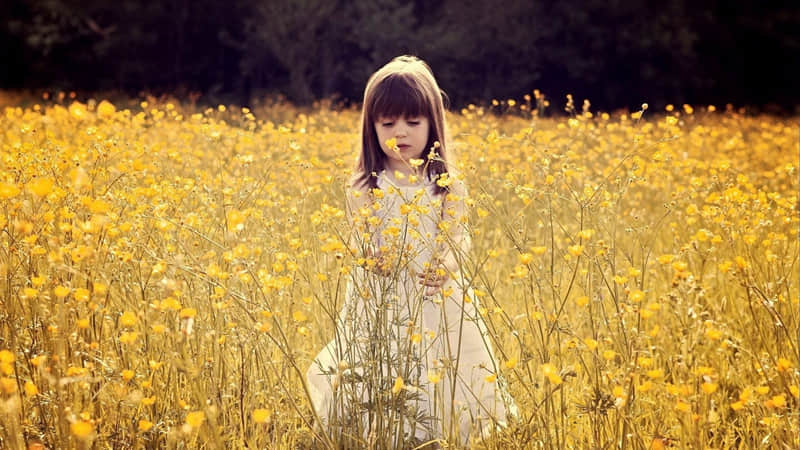 ��2025������һ�죬����Ȧһ��Ҫ��������