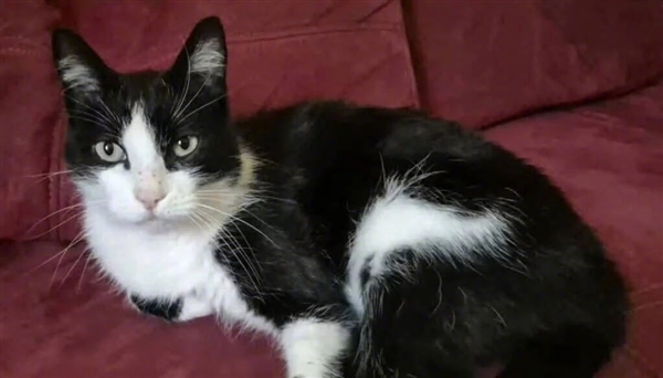 ������ţè���������߶� ͽ��250���ﴴ�漣��ȫ�ؼ�