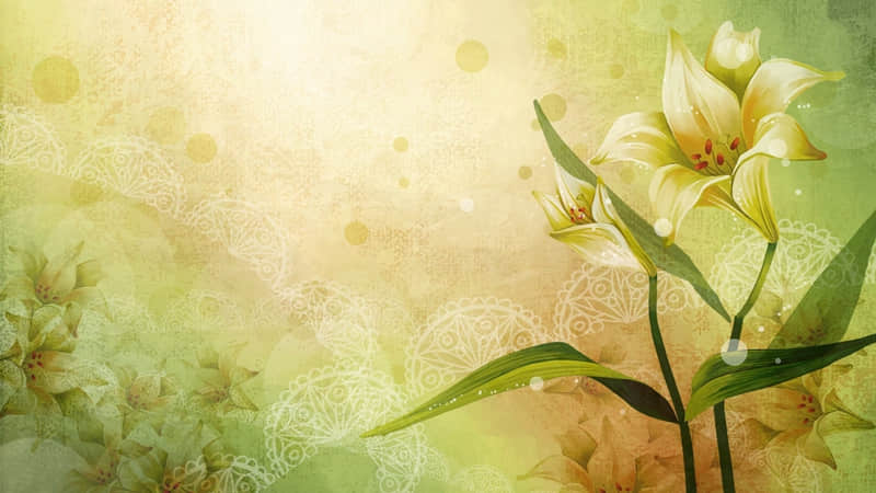 ��22/.2026Ԫ������Ȧ��ô��������һ���� ��