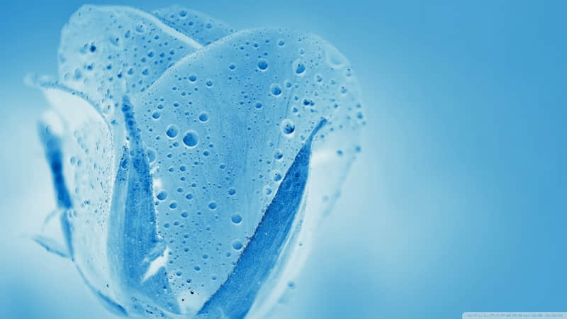 �� 22��һ�䣬����Ȧ�ÿͱ���