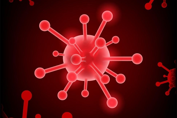 ��������һ���罻�Ӵ�����Ч�ʽϵͣ���ѧ��������ֻ�