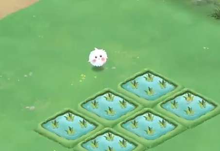 ��԰С����������ָ��