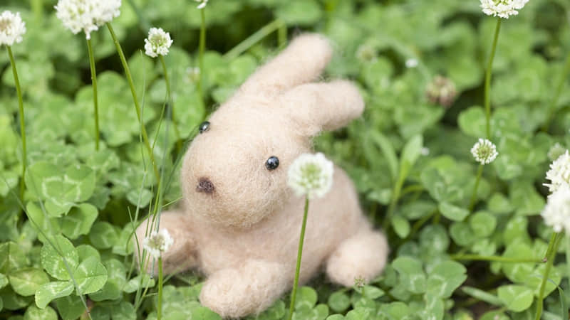 ��22/. ����Ȧ�İ�һ��Ҫ��������