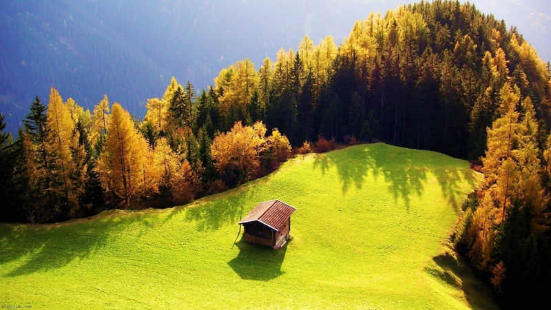 ��Ԫ���簲��������ף���µ�һ���������񳣰顱