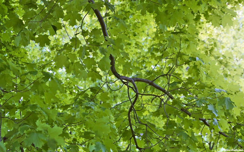 ��22/.Ԫ�������һ�췢һ�����µ�����Ȧ��