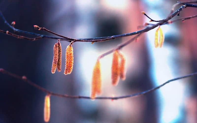 2026�꣬���Լ������嶥��