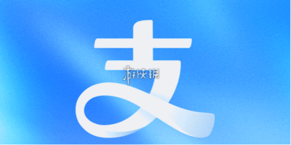 ֧������������ȫ