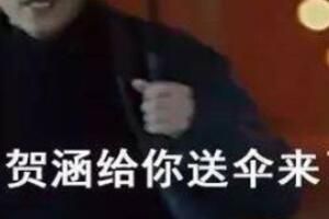 �����Һغ���ʲô��˼