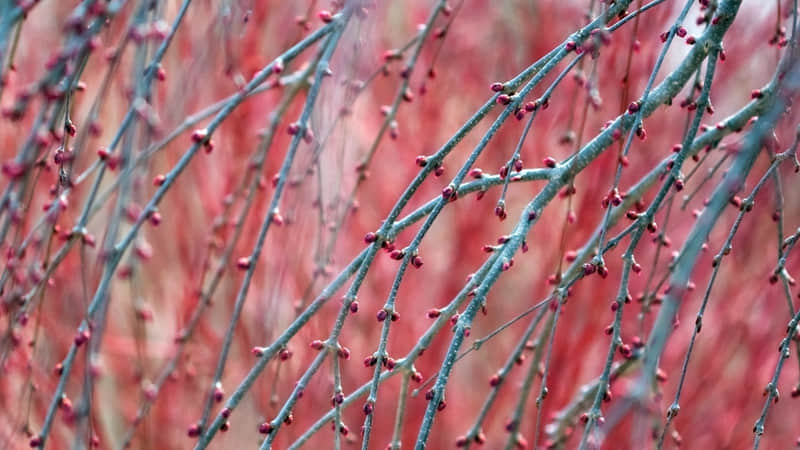 ���A�@����һ�����µ�΢�Ÿ�ǩ��