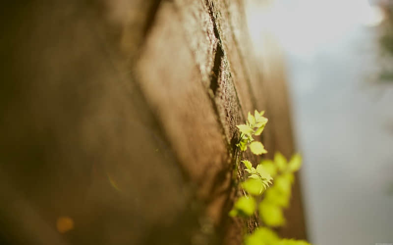 ��������һ�������Լ�����