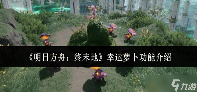 ���շ�����ĩ�������ܲ���ʲô����-�����ܲ����ܽ���