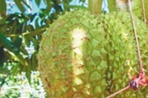 ����������������