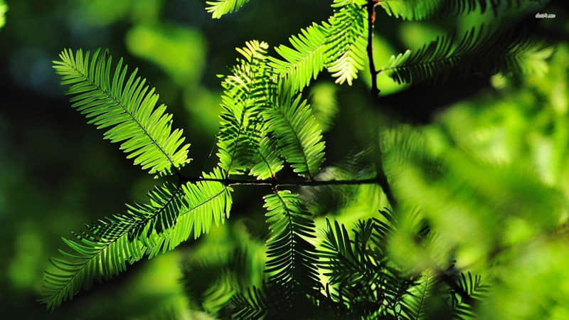 ����̥��������Ȧ��ϲ�İ�����������