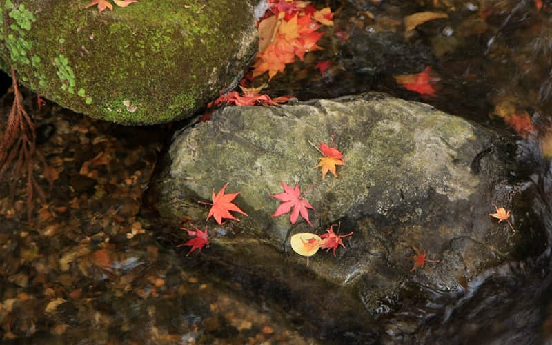 �������İ����Ƕ����İ������ִ��⣬����𺳣�����ͨ͸������������