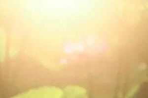 �������ѧ�������������֪