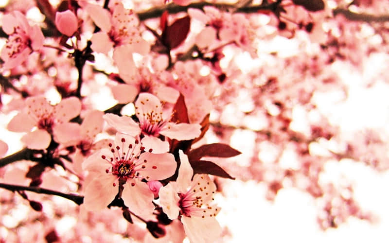 �������˺þõ�΢���ö��İ���