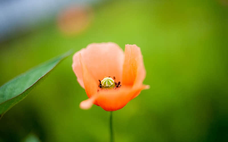 ������Ȧ�������������������Ź⡱