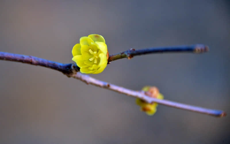 ������ת�˺��������Ļ���