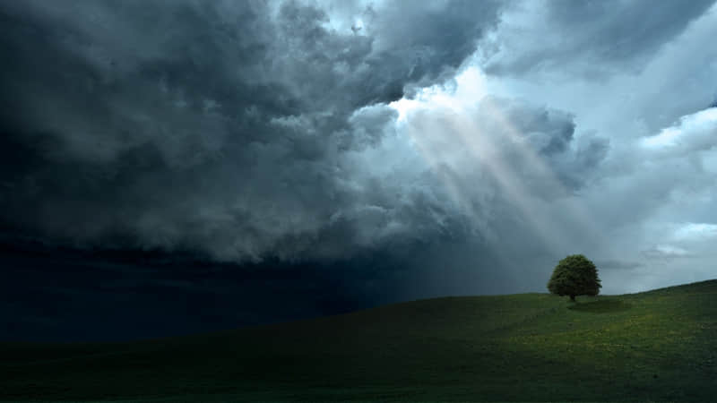 ����ǵ�Ů������������Ȧ���뱻�ޡ�