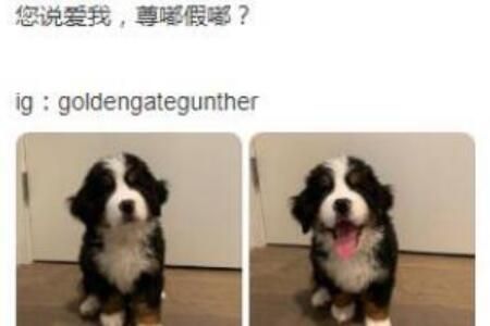 ��ོ����ʲô��˼��������